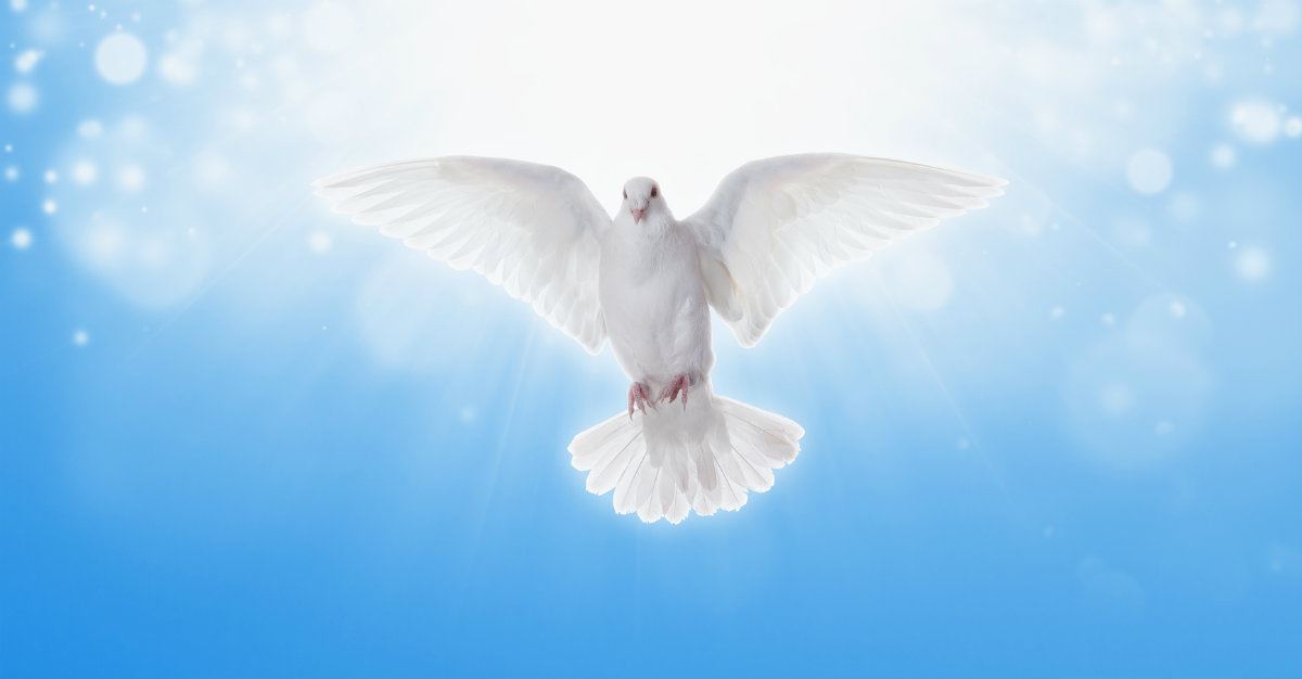 A Continuationist Responds To A Cessationist